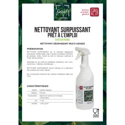 Nettoyant Multi-Usage Parfum Pomme carton de 15 pulvérisateurs de 750 ml
