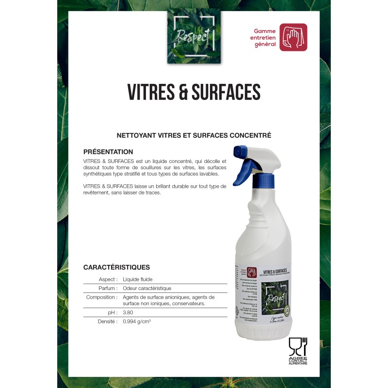 LIQUIDE VITRES carton de 15 pulvérisateurs 750 ml